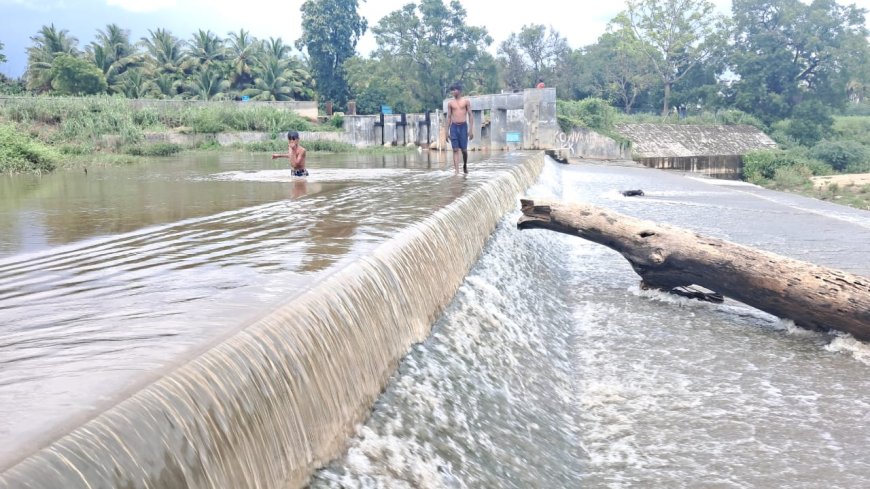 கோவை, சித்திரைச்சாசடி தடுப்பணை : ஆபத்தை உணராது நீச்சல் அடித்து விளையாட்டும் சிறுவர்கள்