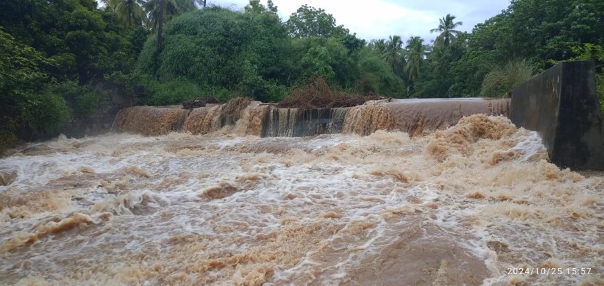 ஸ்ரீவில்லிபுத்தூர் பெய்து வரும் கன மழை : ஆறுகள், கால்வாய்களில் நீர் வரத்து அதிகரிப்பு - விவசாயிகள் மகிழ்ச்சி !!!